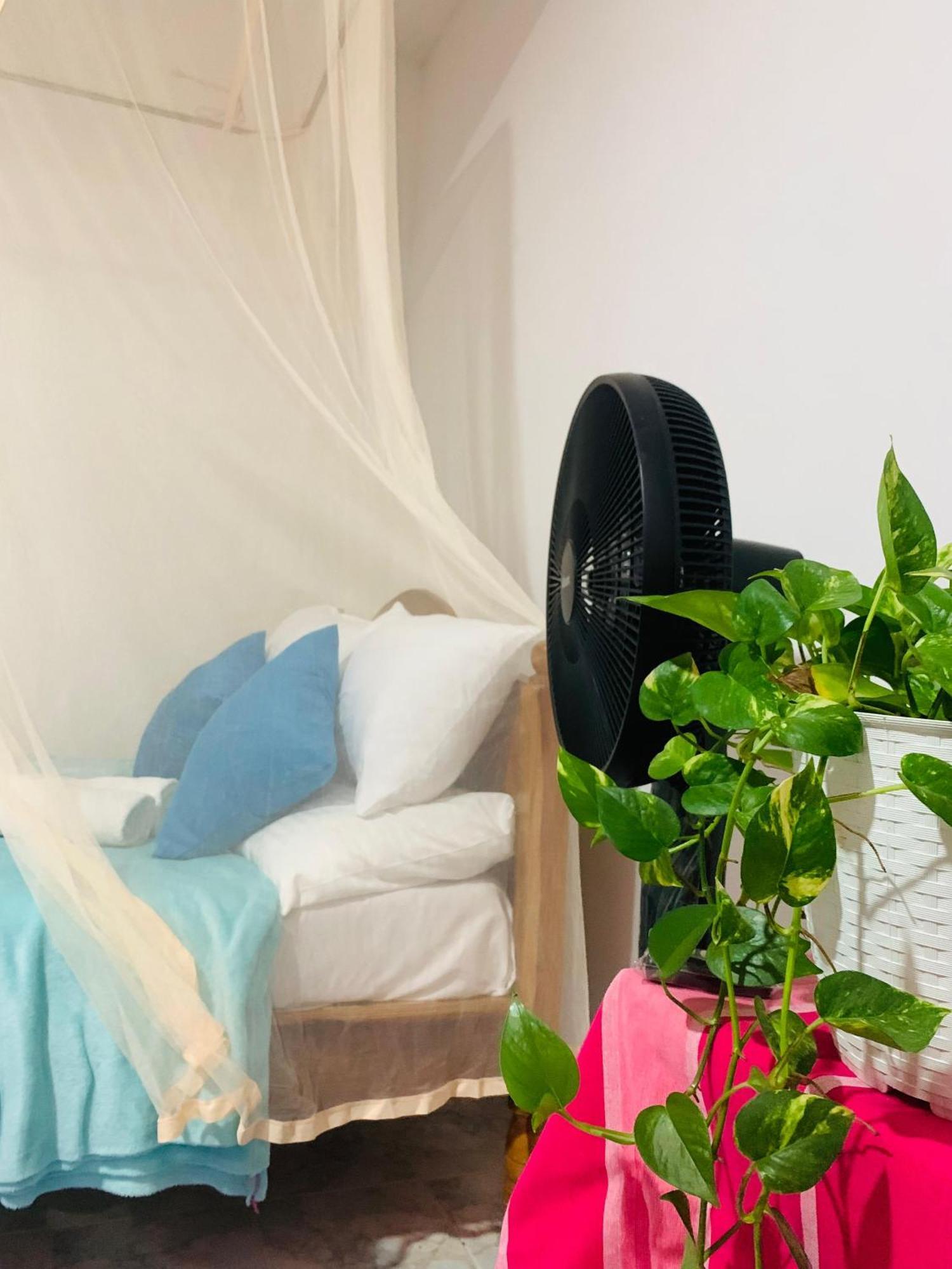 אלה Meditation Monastery Stay מראה חיצוני תמונה