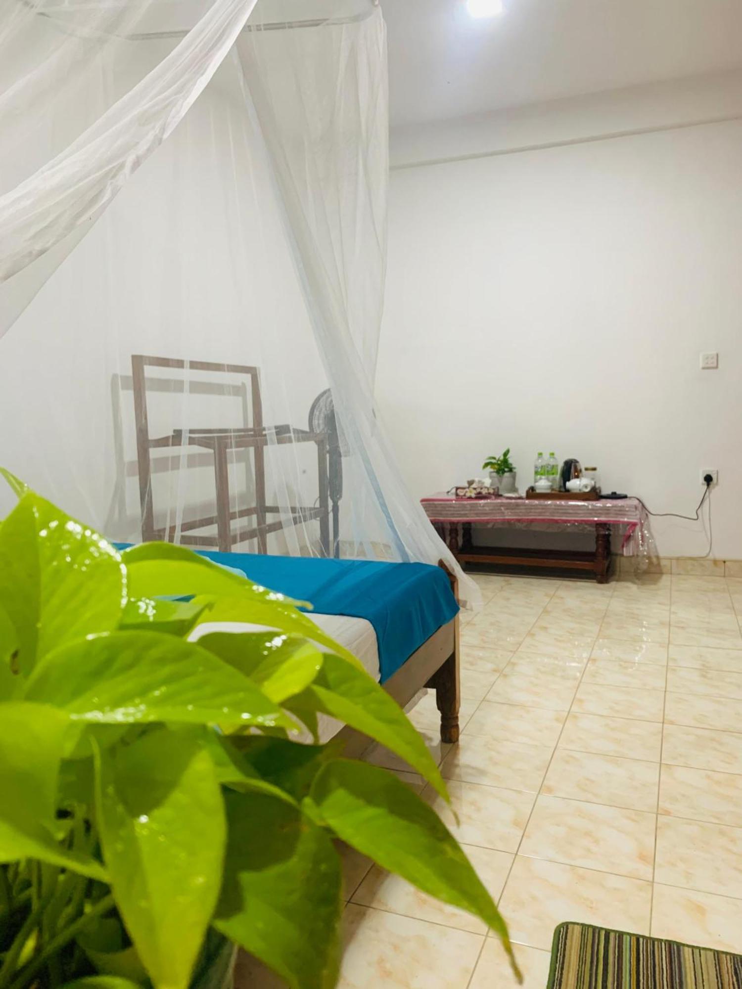 אלה Meditation Monastery Stay מראה חיצוני תמונה